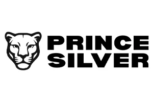 Prince Silver Logo